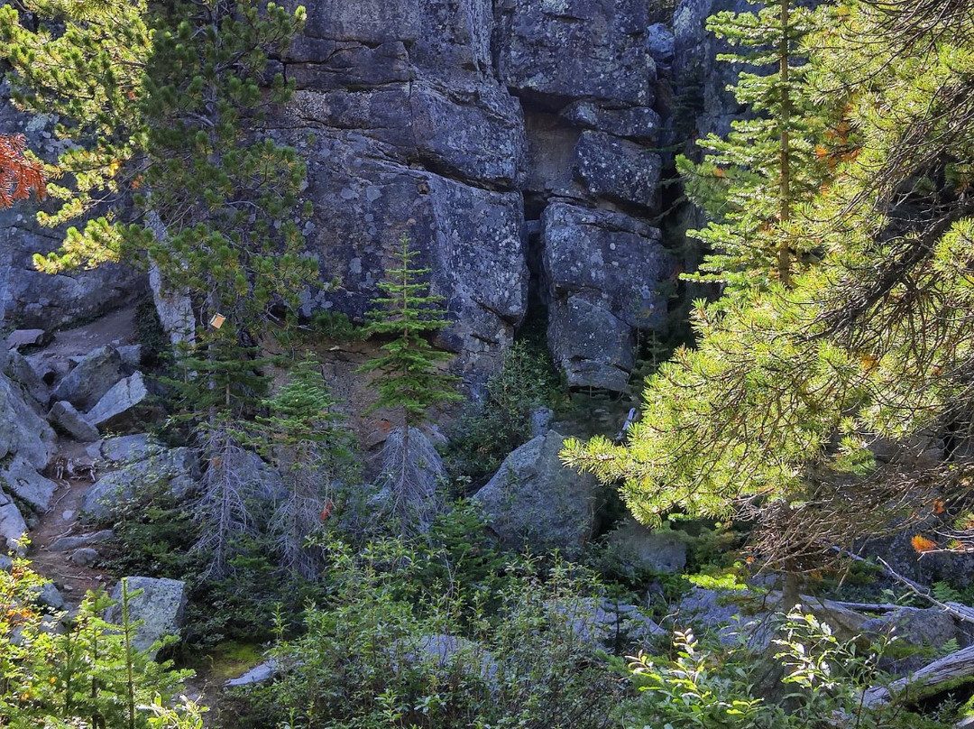 Boulder Gardens-Tumbler Ridge必去景点