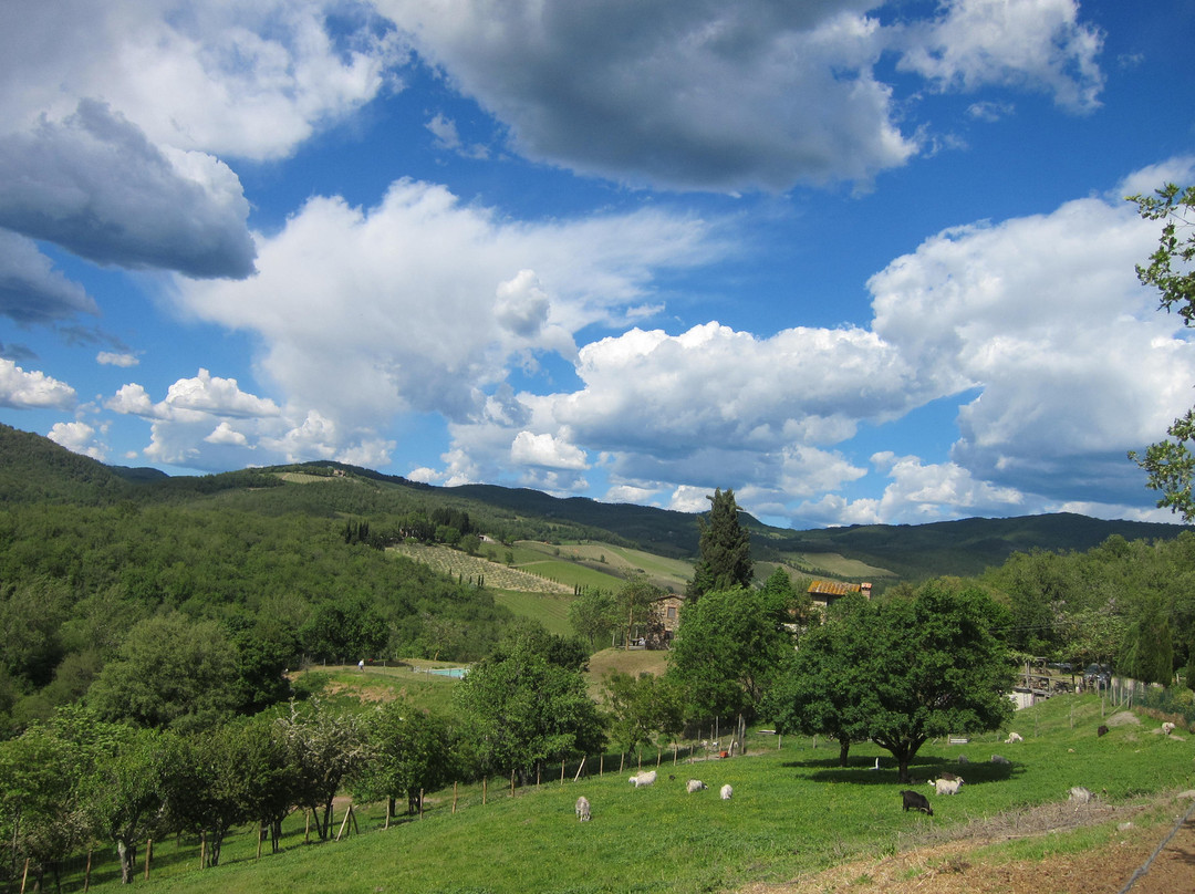 Chianti Cashmere Goat Farm-拉达因基安蒂必去景点