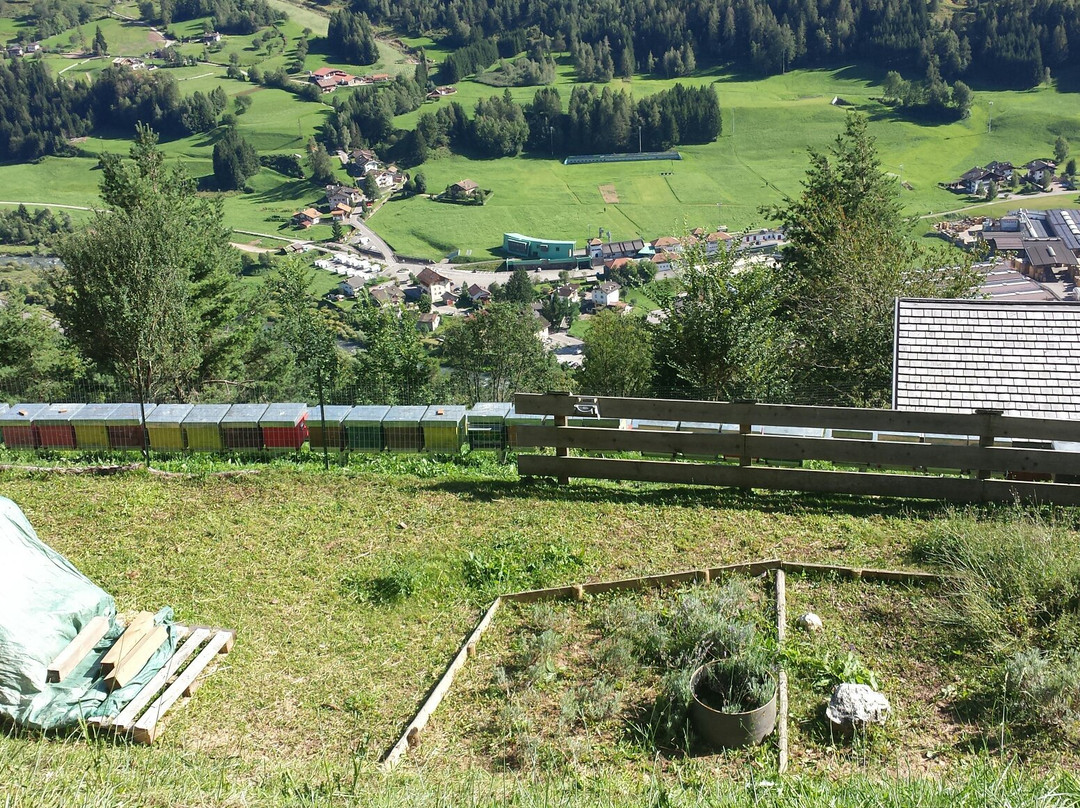 Maso Delle Erbe Tesero