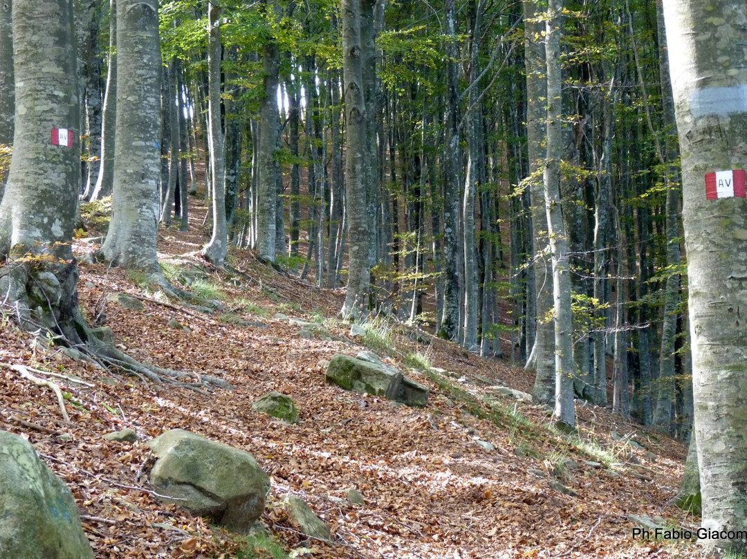 Ente Parco di Montemarcello-Magra-Province of La Spezia必去景点