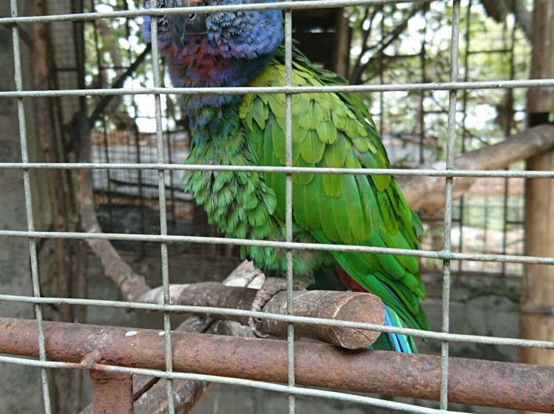 Botanical Garden of Guayaquil-瓜亚基尔必去景点