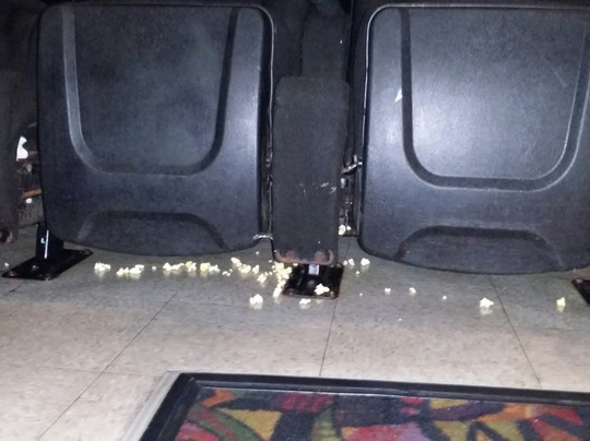 Regal UA Sheepshead Bay-布鲁克林必去景点