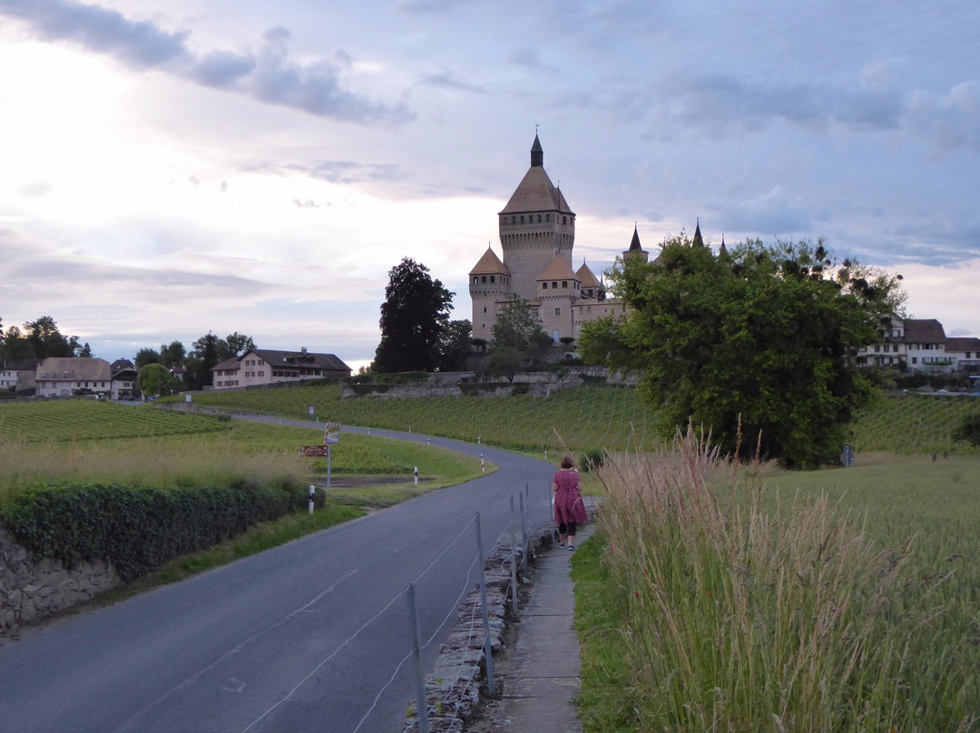 Château de Vufflens-Vufflens-le-Château必去景点