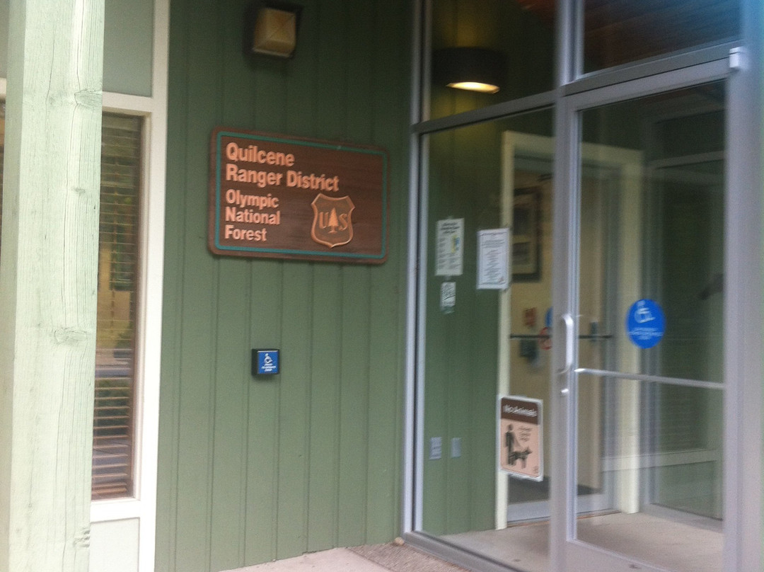 Lower Big Quilcene Trail-奥林匹克国家公园必去景点