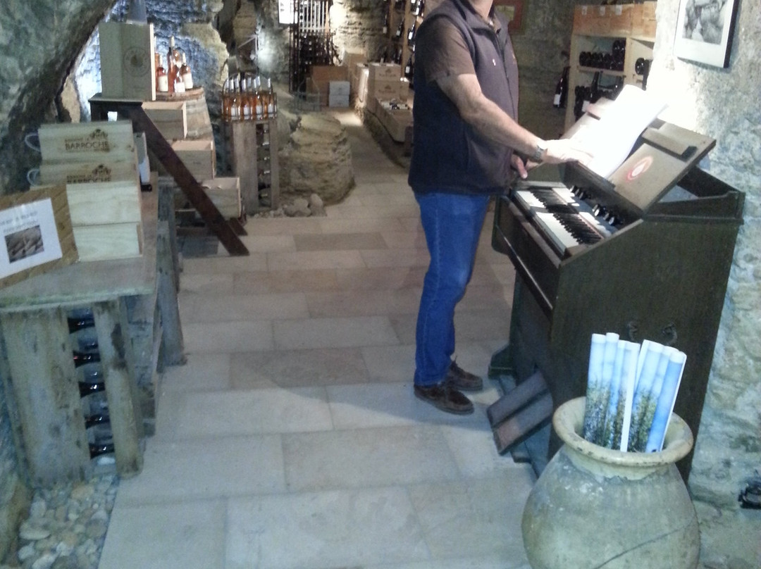 Elora Tours Provence-阿维尼翁必去景点