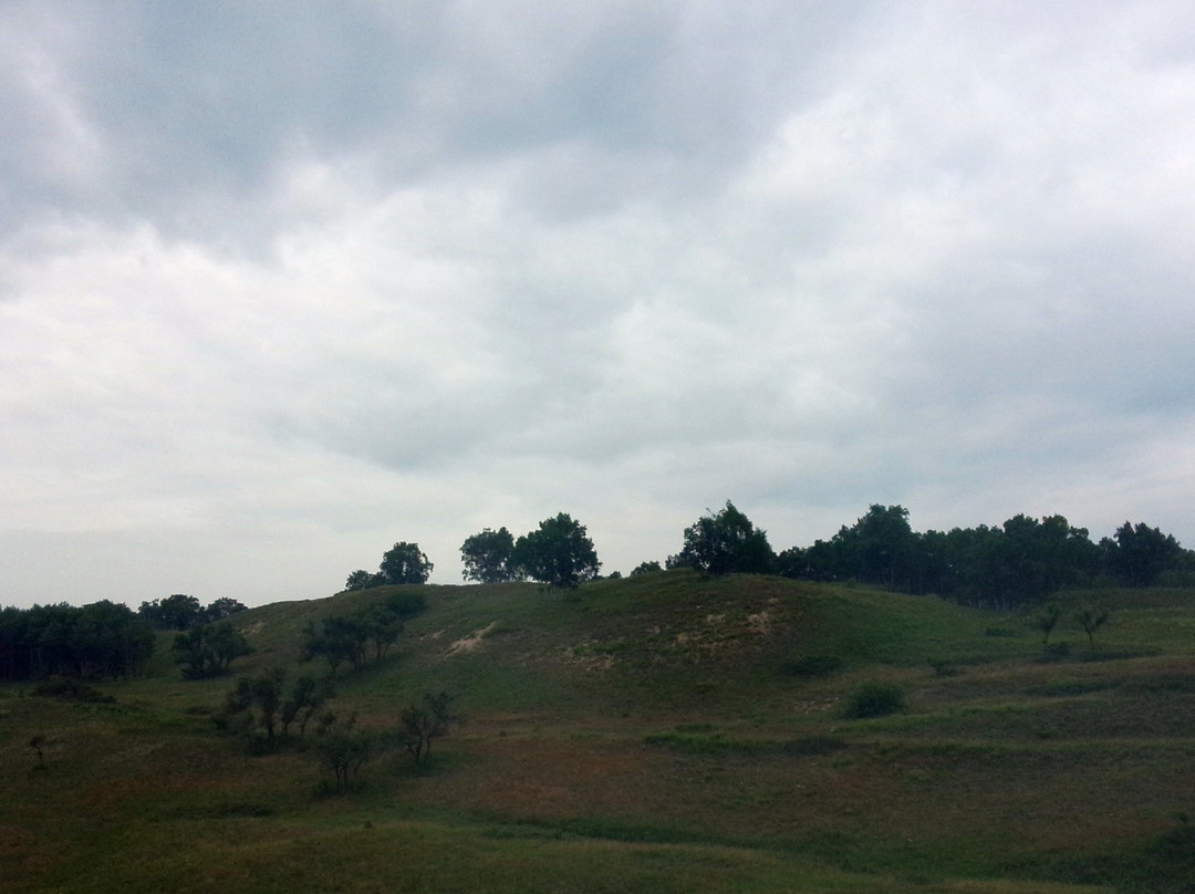 贡格尔草原-克什克腾旗必去景点