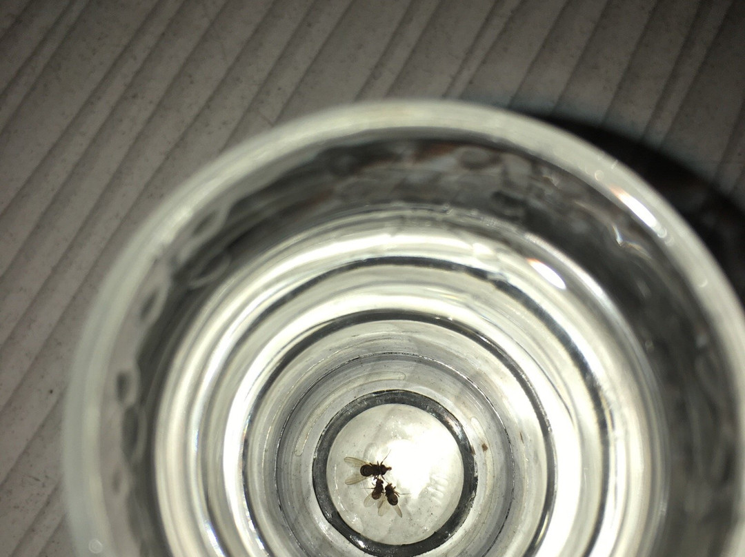 Black And White-斯普利特必去景点