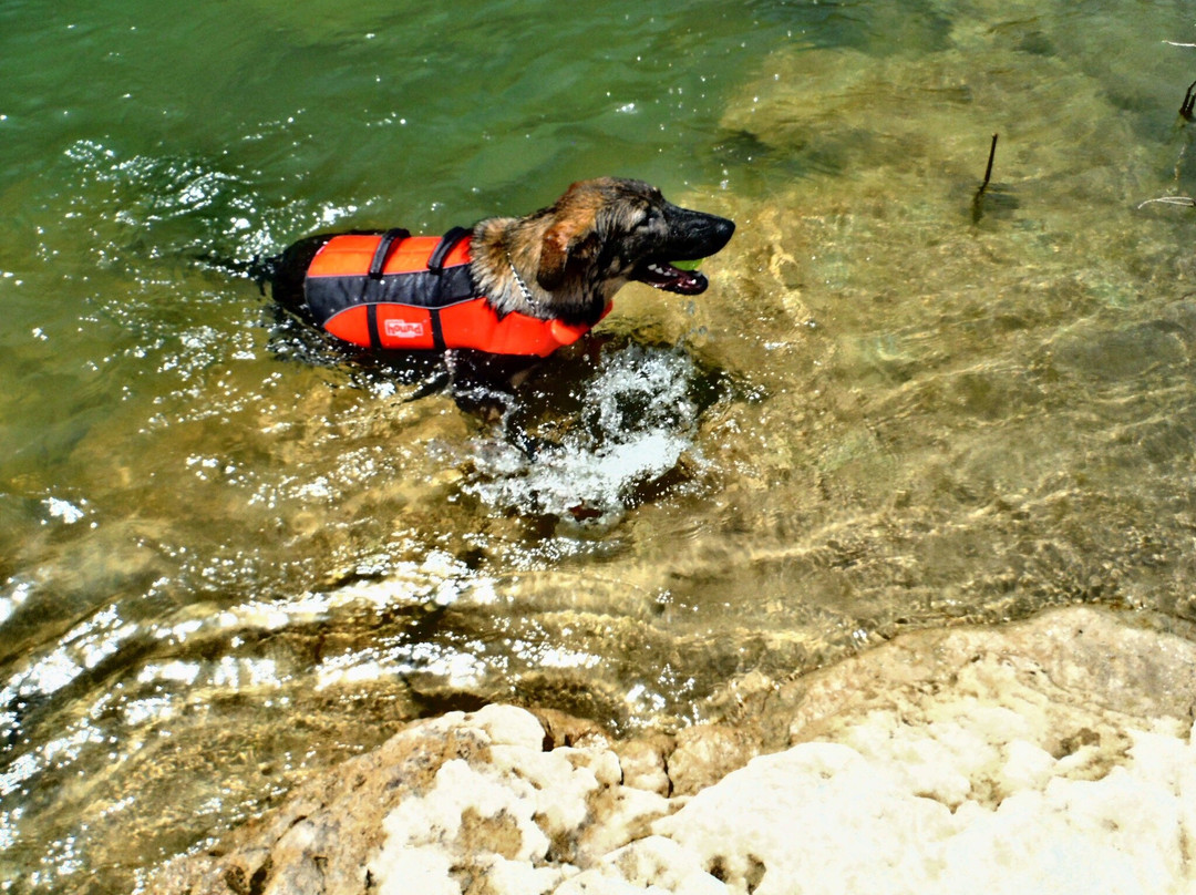 Whitewater Amphitheater-新布朗费尔斯必去景点