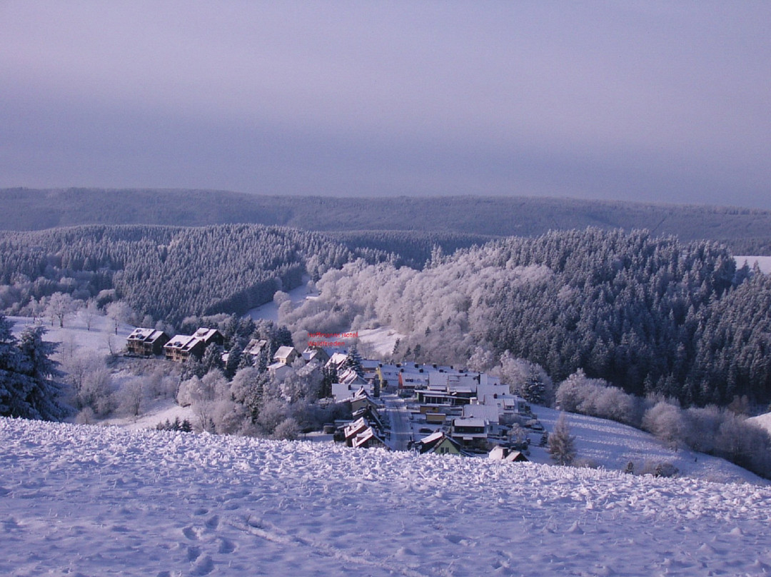 Hoffmanns Hotel Waldfrieden (garni)主图