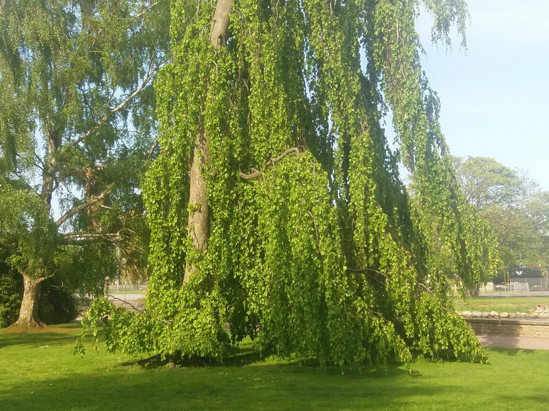 Kalmar Konstmuseum-卡尔马必去景点