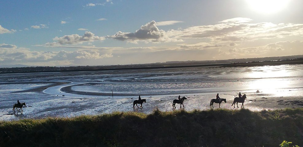 Corballis Farm Horse Trekking & Therapeutic Riding Centre-都柏林必去景点