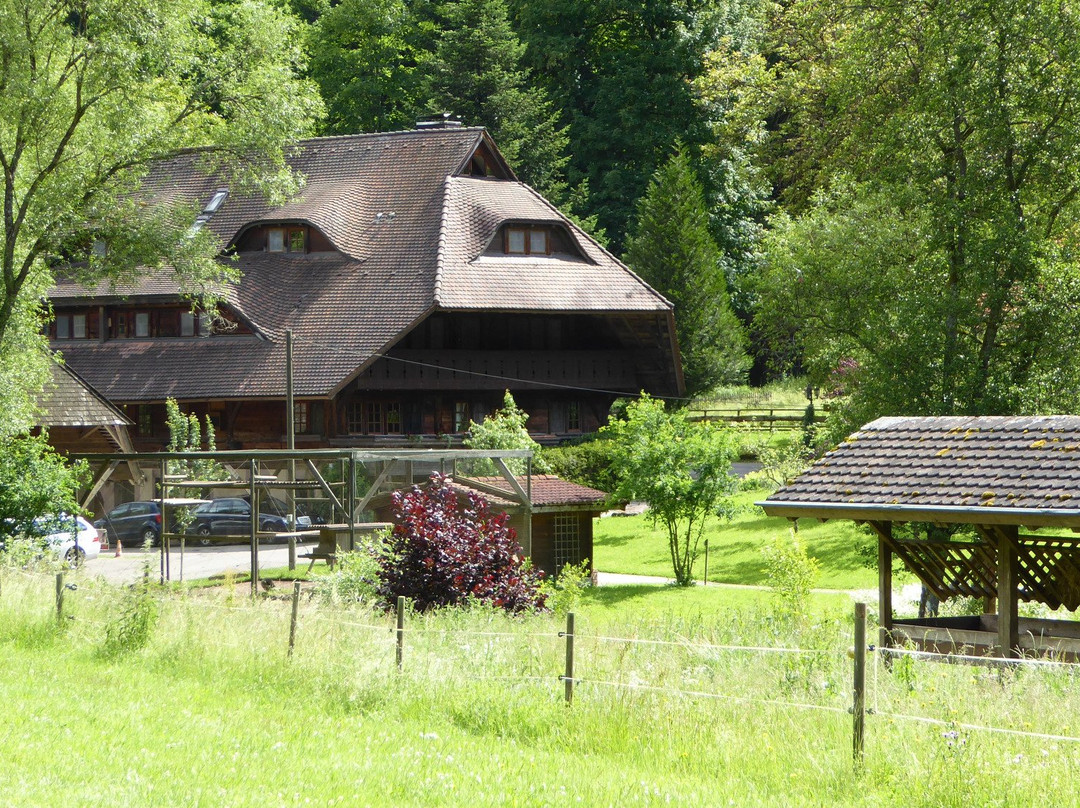 Bad Teinach-Zavelstein旅游攻略图片