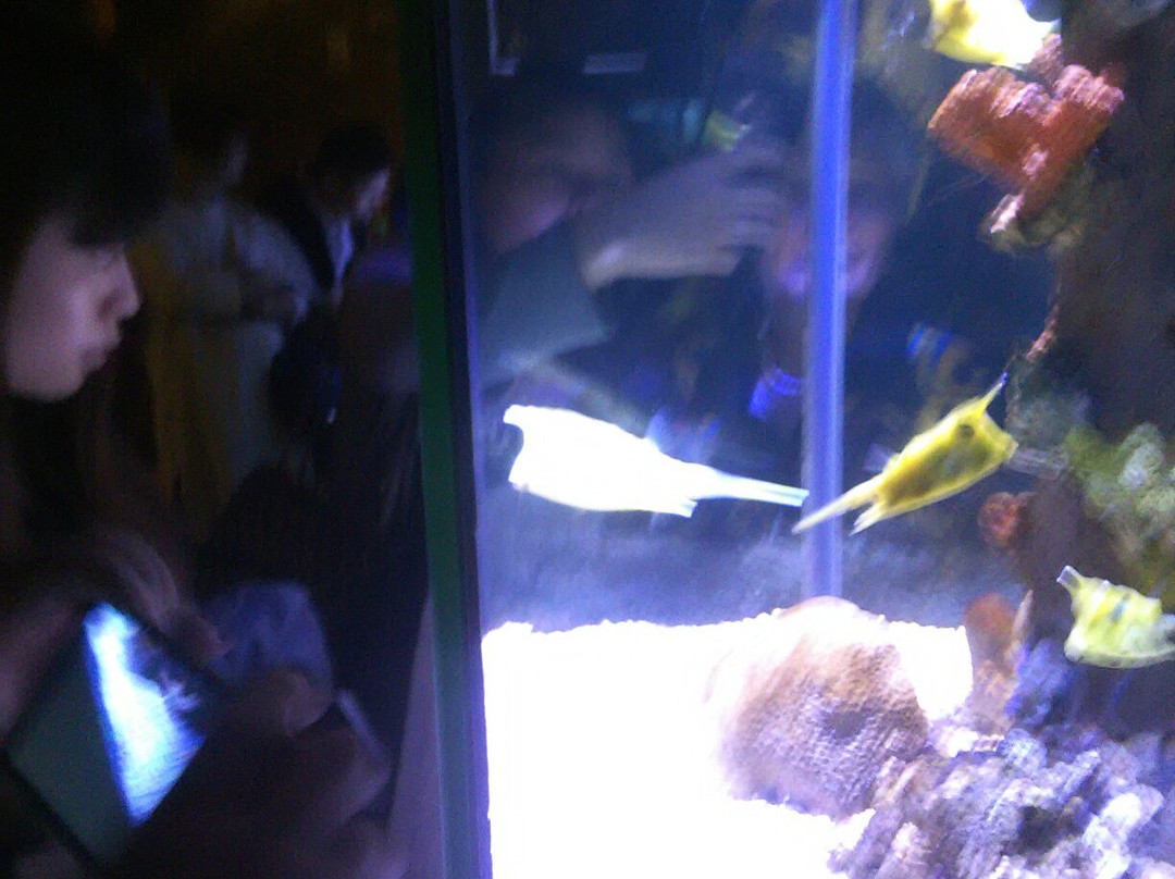 合肥汉海极地海洋世界-合肥市必去景点