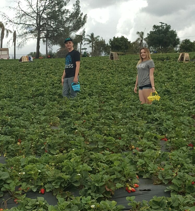 Kenny's Strawberry Farm-Fallbrook必去景点