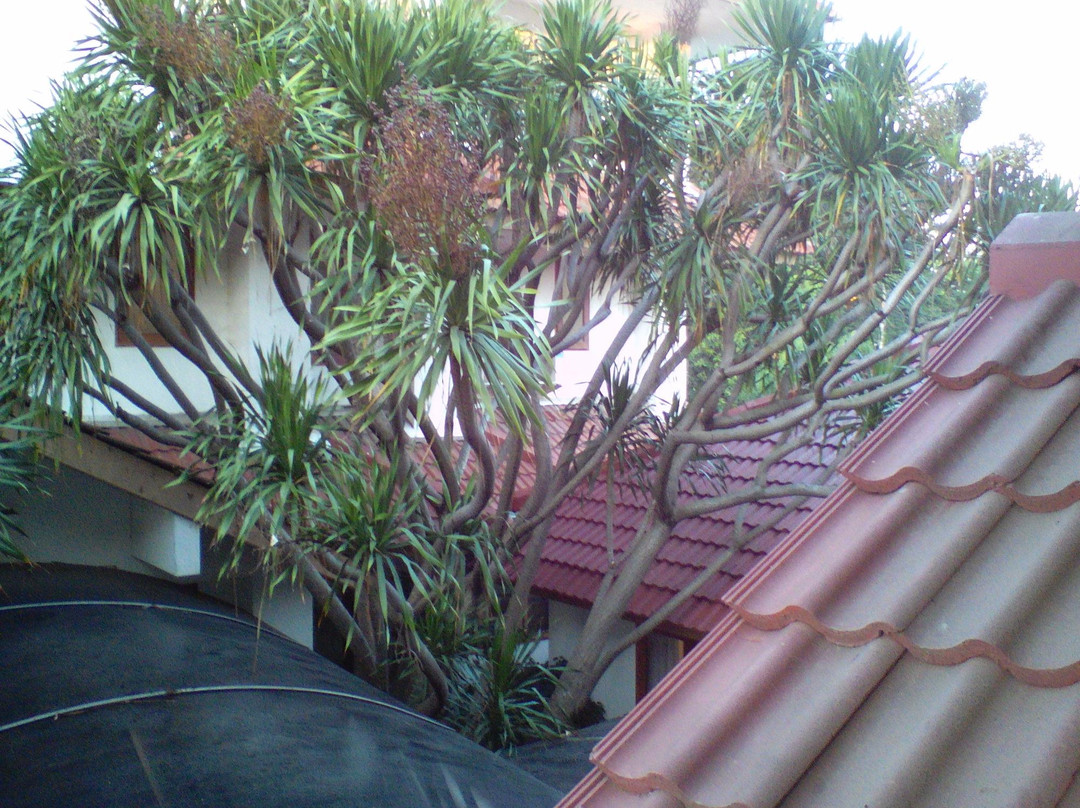 Cilegon City Hotel & Serviced Apartment主图