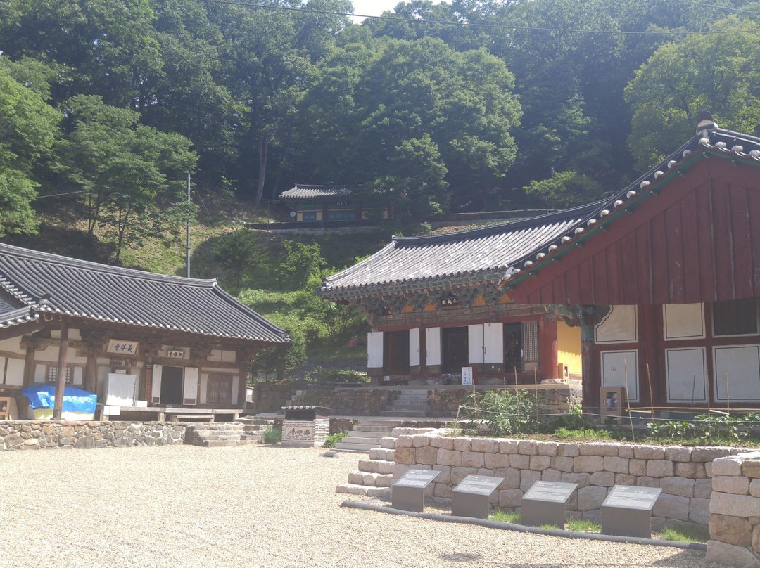 Janggoksa Temple-青阳郡必去景点