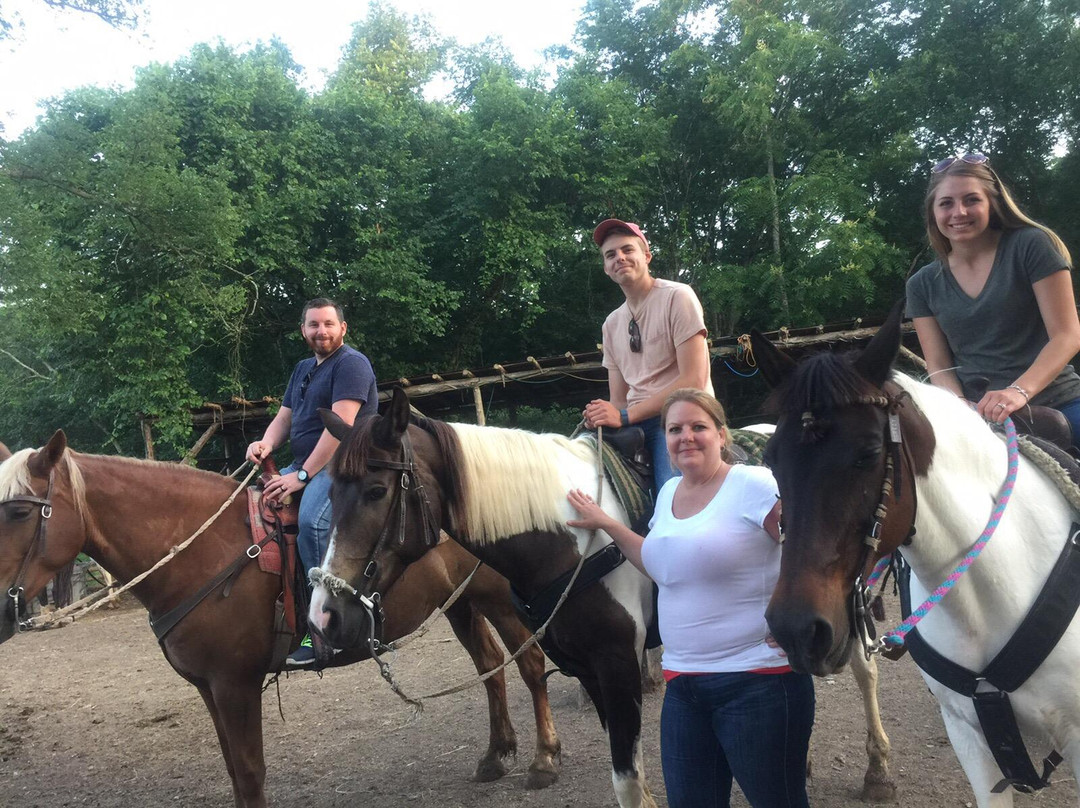 JuRo Stables-Mount Juliet必去景点