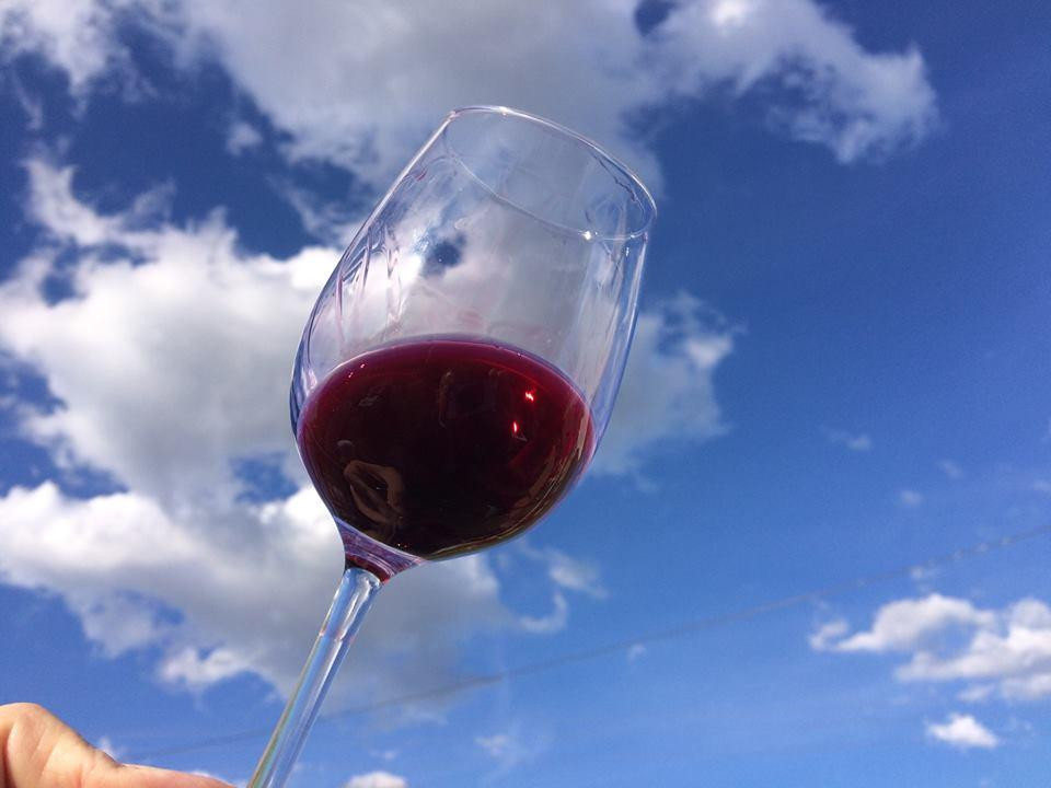 Château Julia-Saint-Laurent-Medoc必去景点