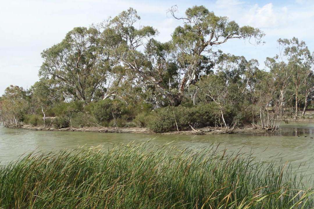 Horsham Weir to Baillie Street River Walk-霍舌姆必去景点
