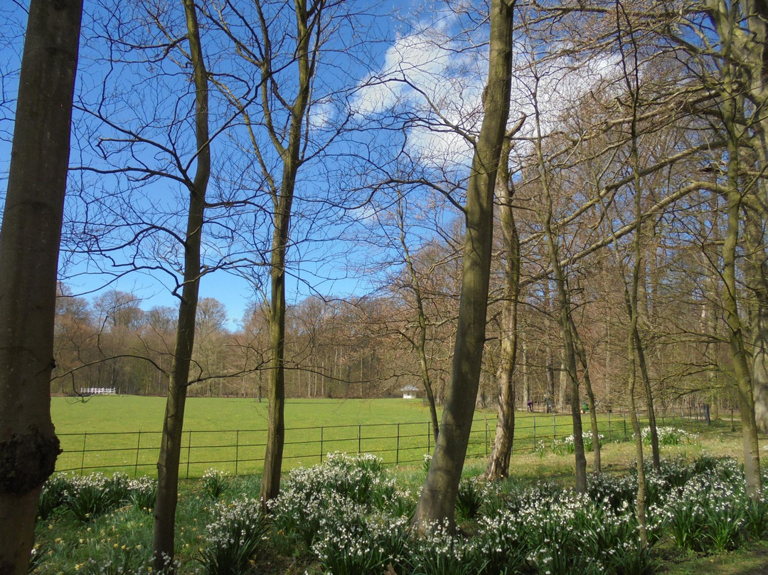 Bloemendaal Beach景点图片