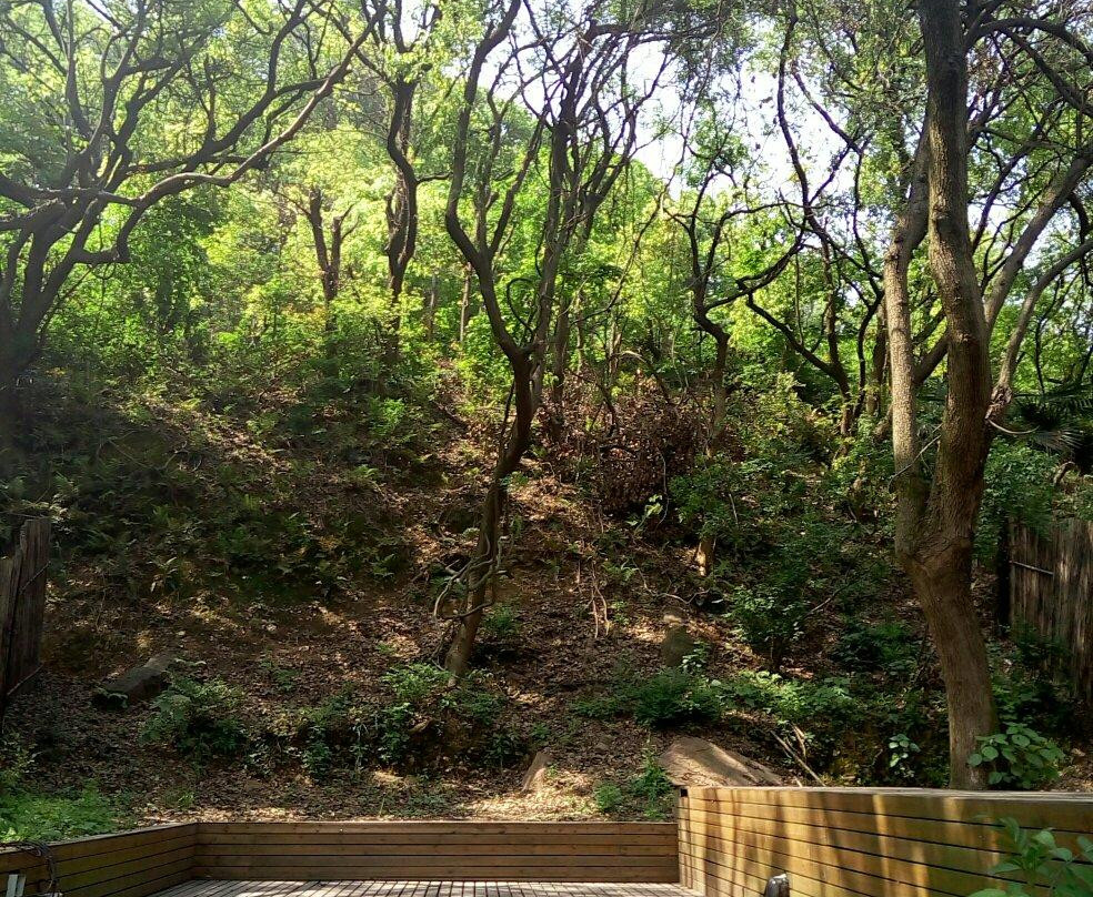 凤凰山庄艺术酒店主图