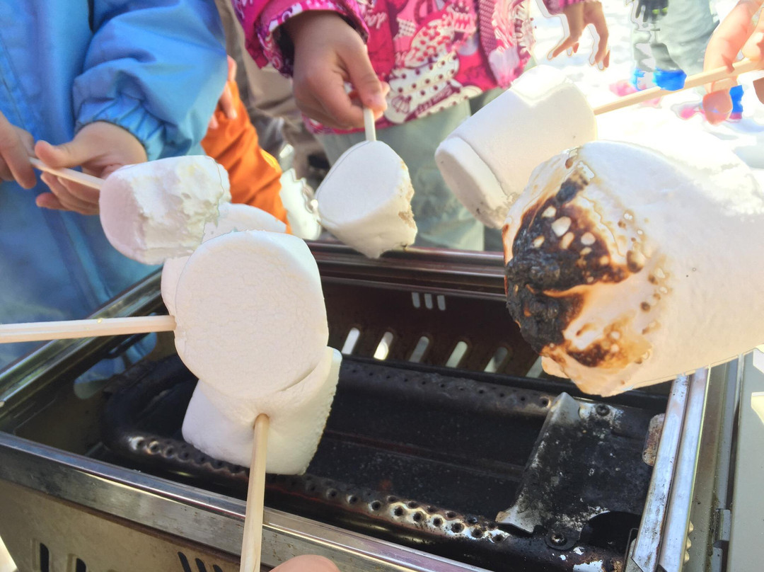 Mizuho Highland-邑南町必去景点