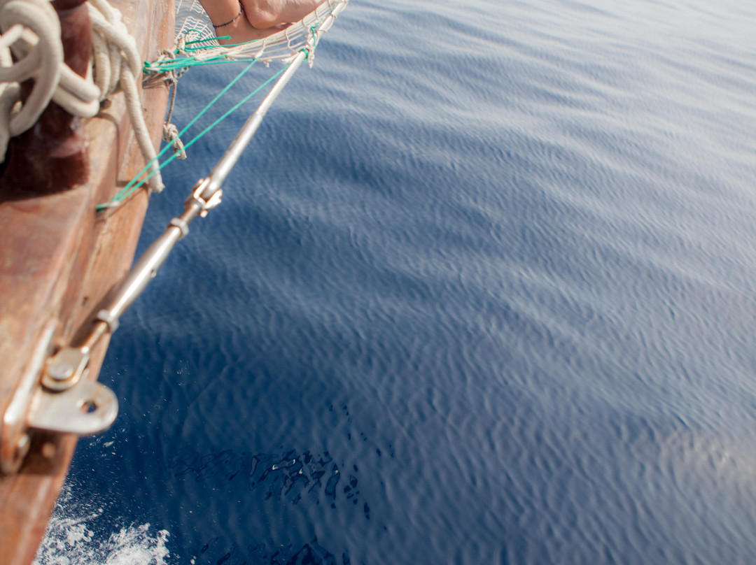 Naxos Cruises-纳克索斯必去景点