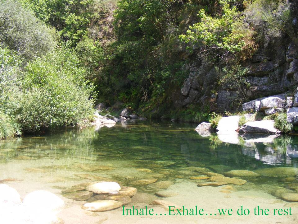 Cabril Eco Rural景点图片