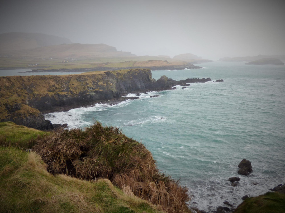 Walsh Taxi-基拉尼必去景点