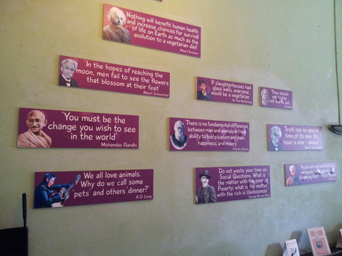 Taste from Heaven - Vegetarian and Vegan Cooking School-清迈府必去景点