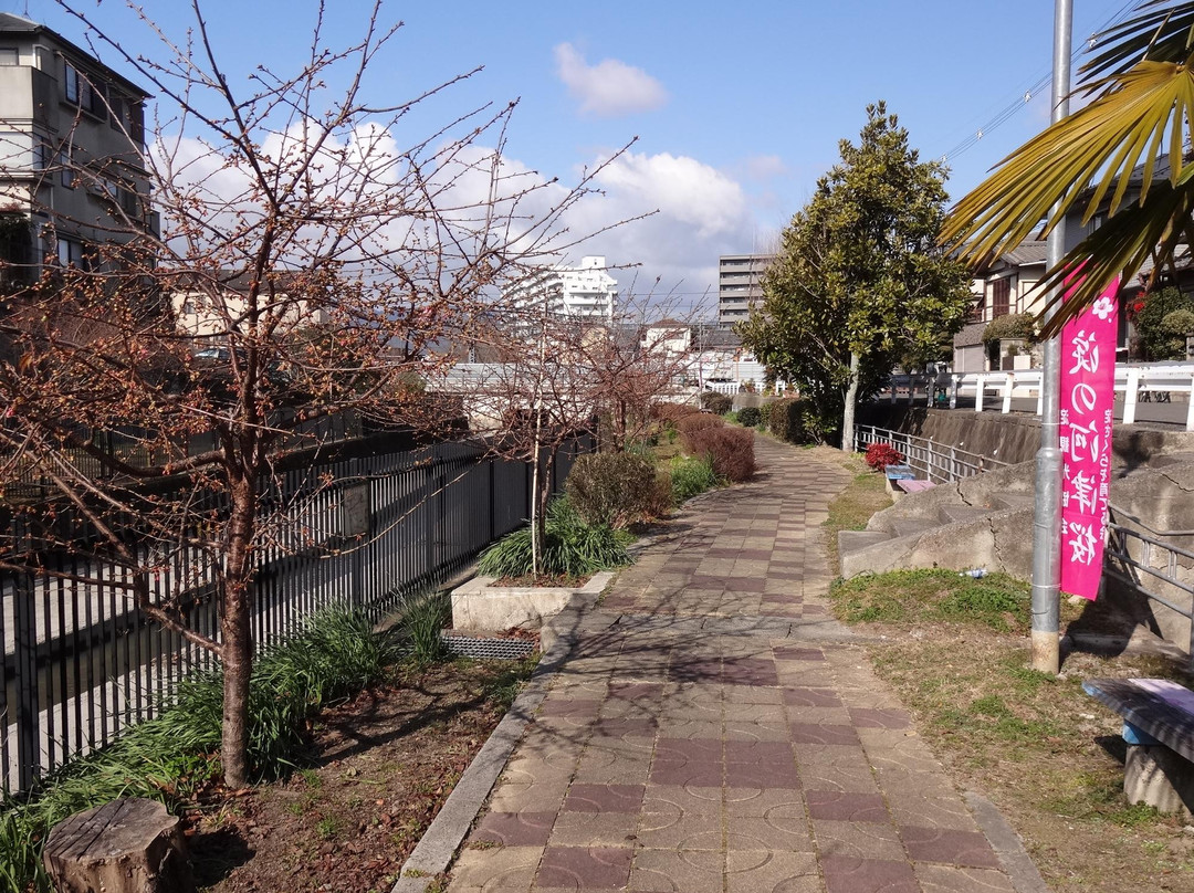 Yodoryokuchi Park景点图片