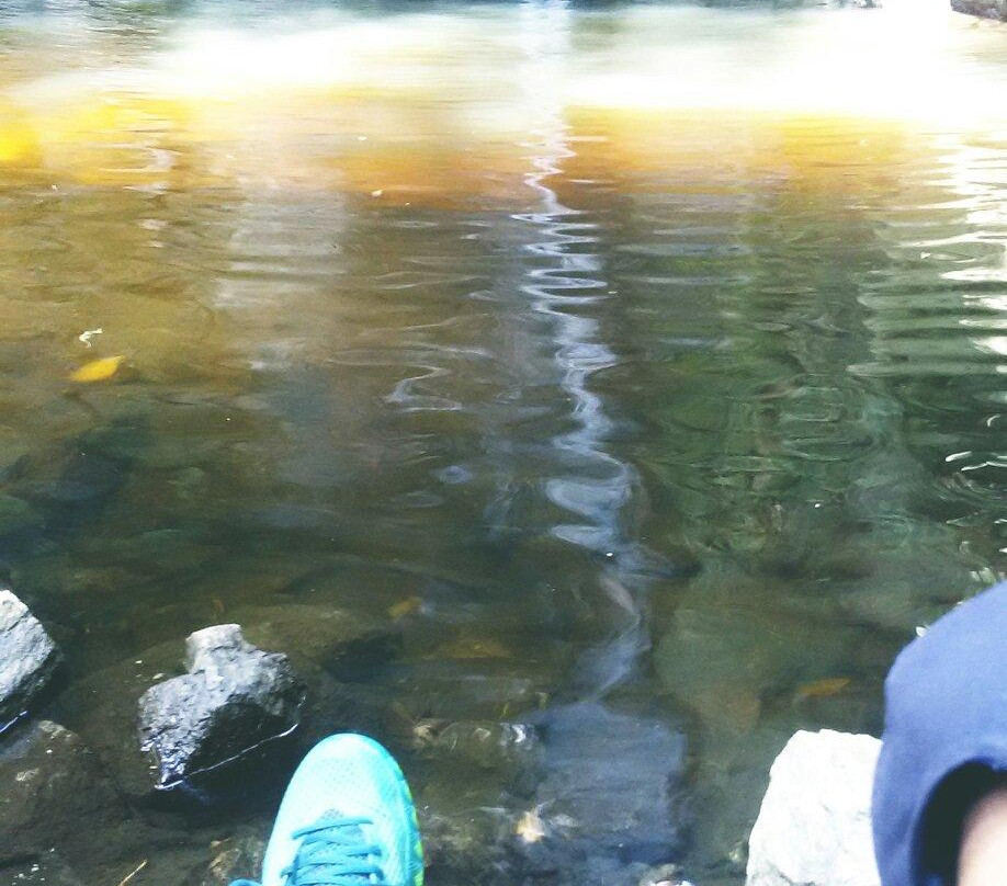 Los Chorros Park景点图片