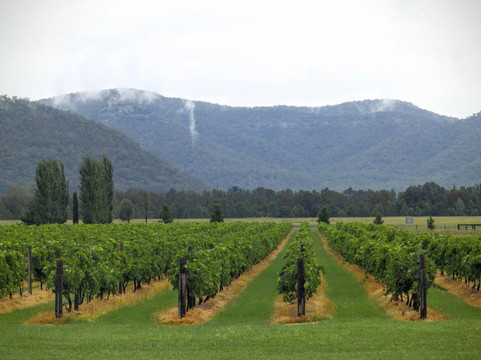 Stomp Wine-Broke必去景点