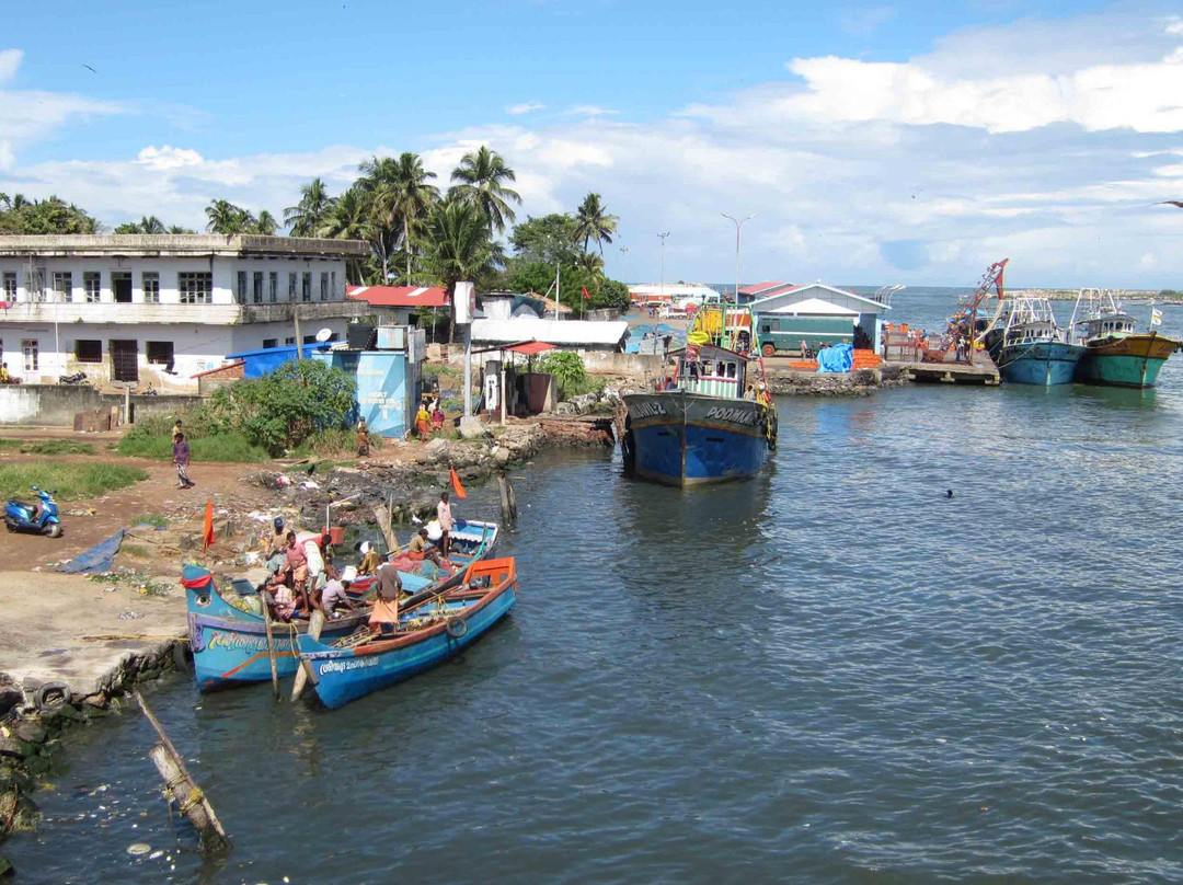 Neendakara Port-科兰必去景点