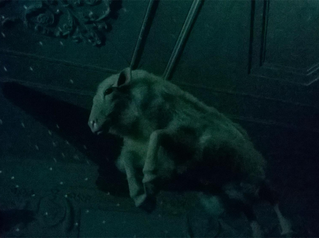 Opera Concert Club-圣彼得堡必去景点