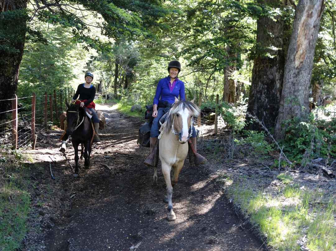 Campo Antilco-普孔必去景点