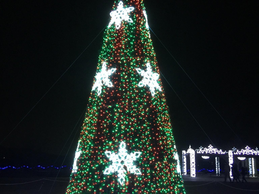 Ota Illumination-太田市必去景点