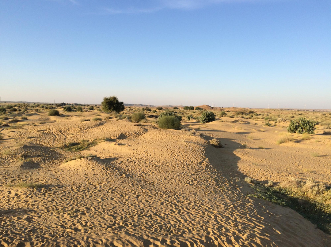 Damodra Desert Camp景点图片