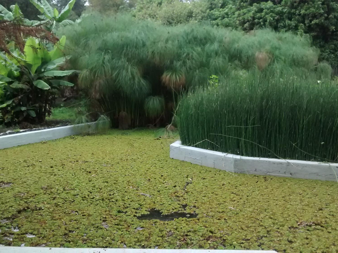 Mexico Bike Tour-墨西哥城必去景点