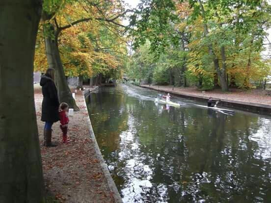 Basingstoke Canal景点图片