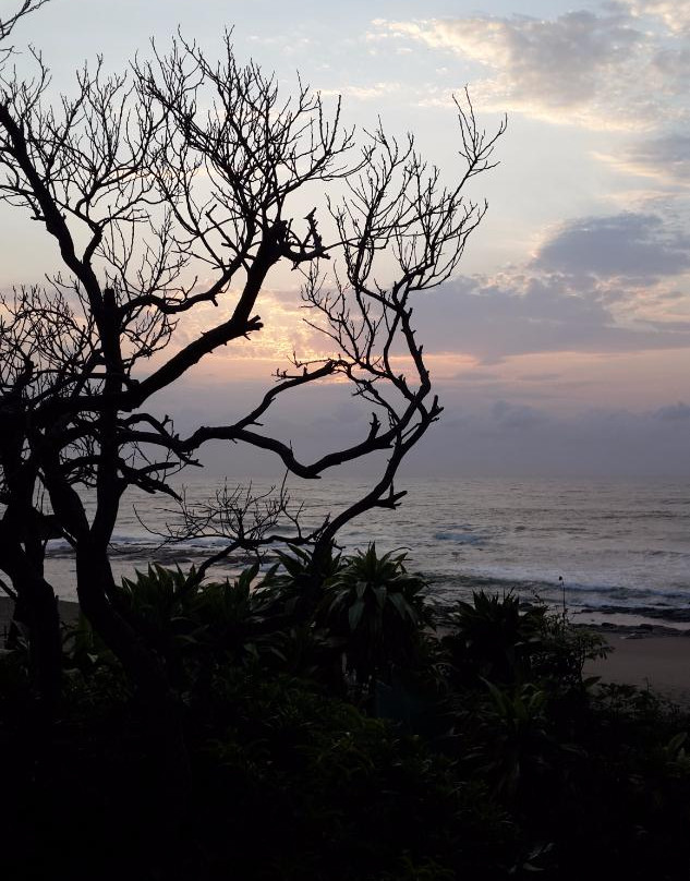 Shore Breakers主图