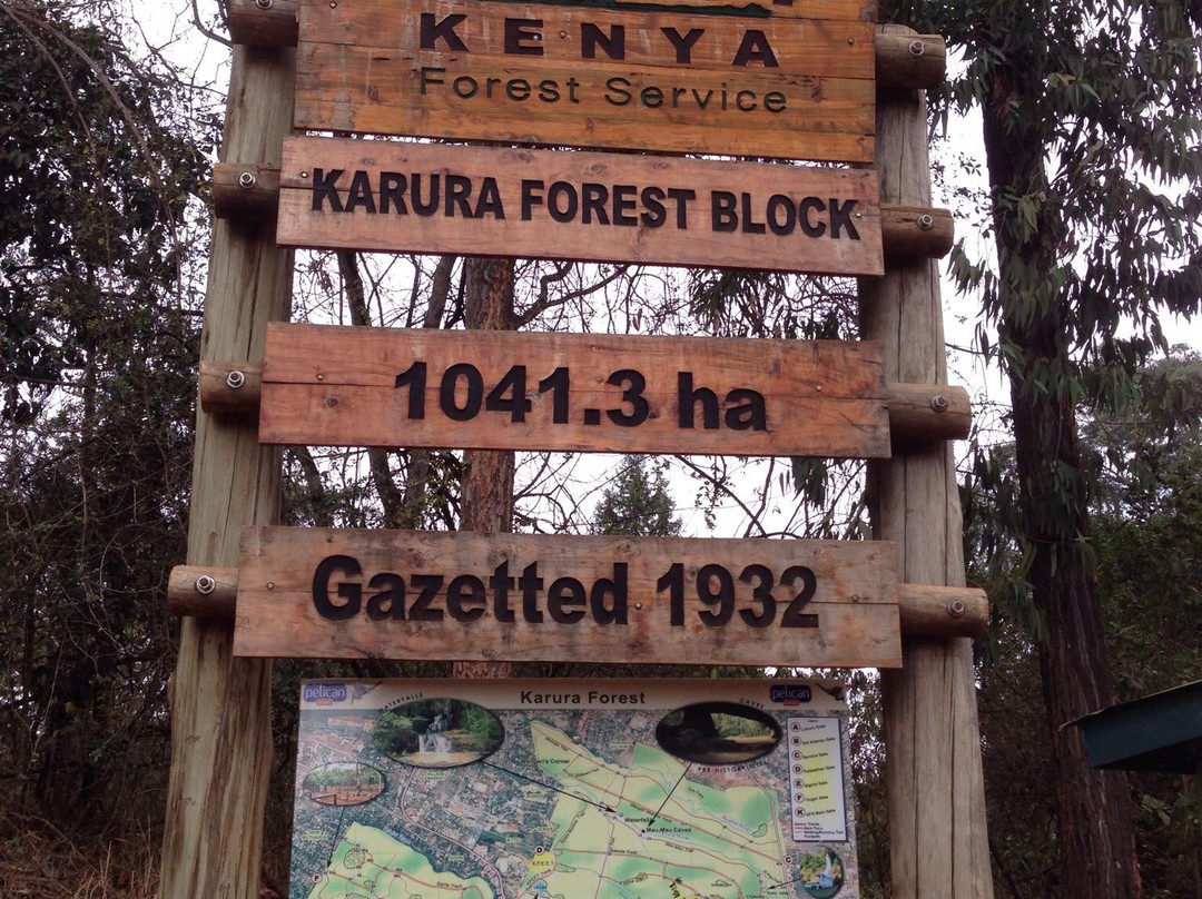 Karura森林-内罗毕必去景点