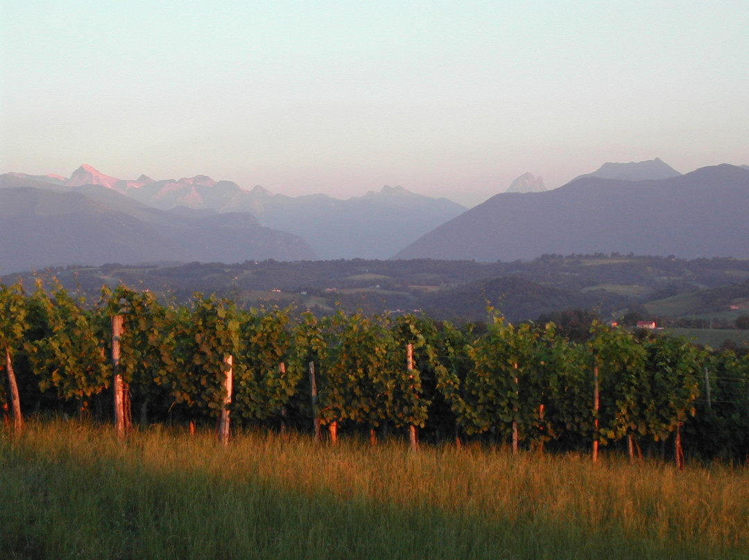 Maison des Vins du Jurançon (Vignerons du Jurançon)景点图片