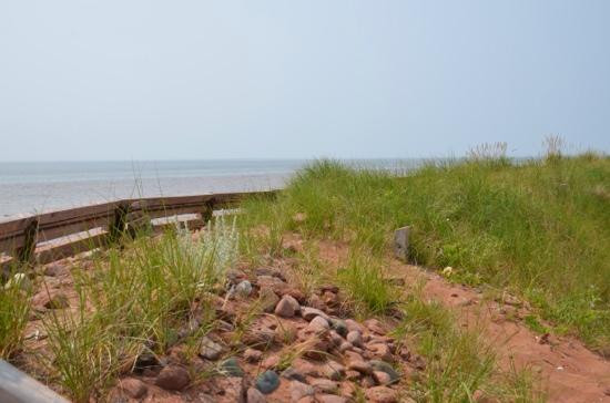 Cedar Dunes Provincial Park-West Point必去景点