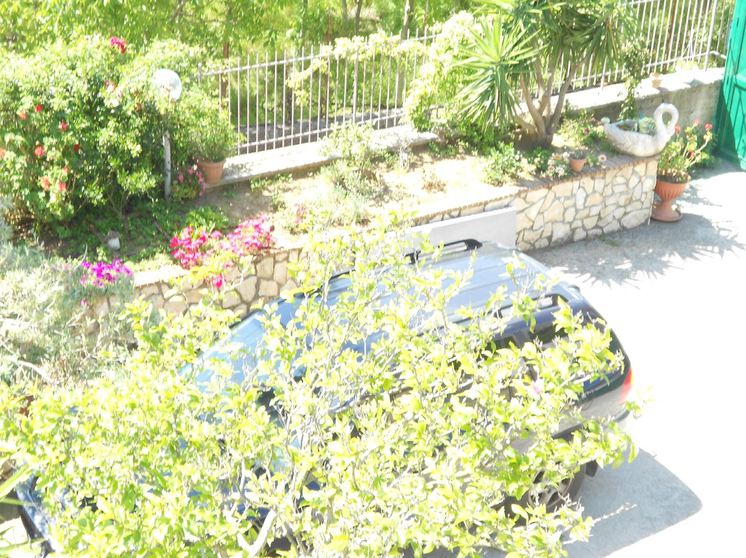 Belvedere Bed & Breakfast主图