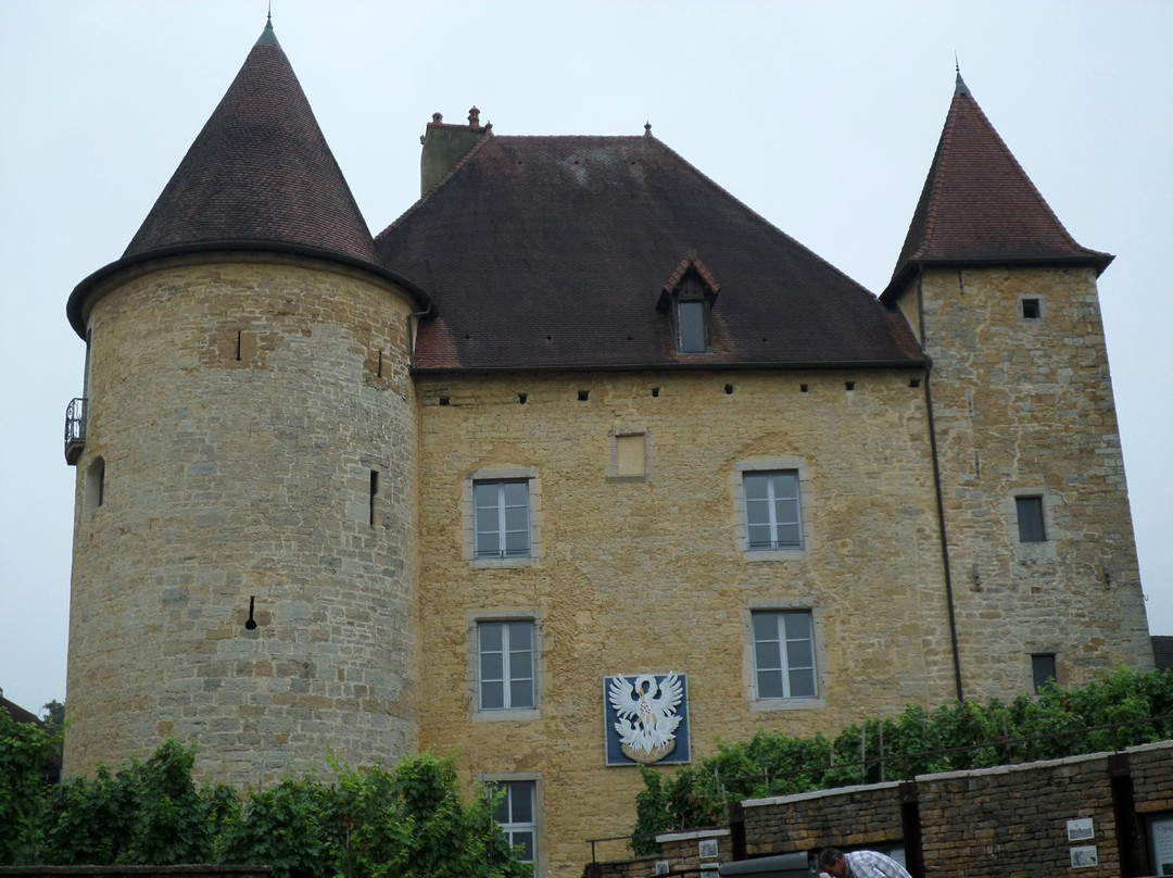 Musée de la Vigne et du Vin-Arbois必去景点