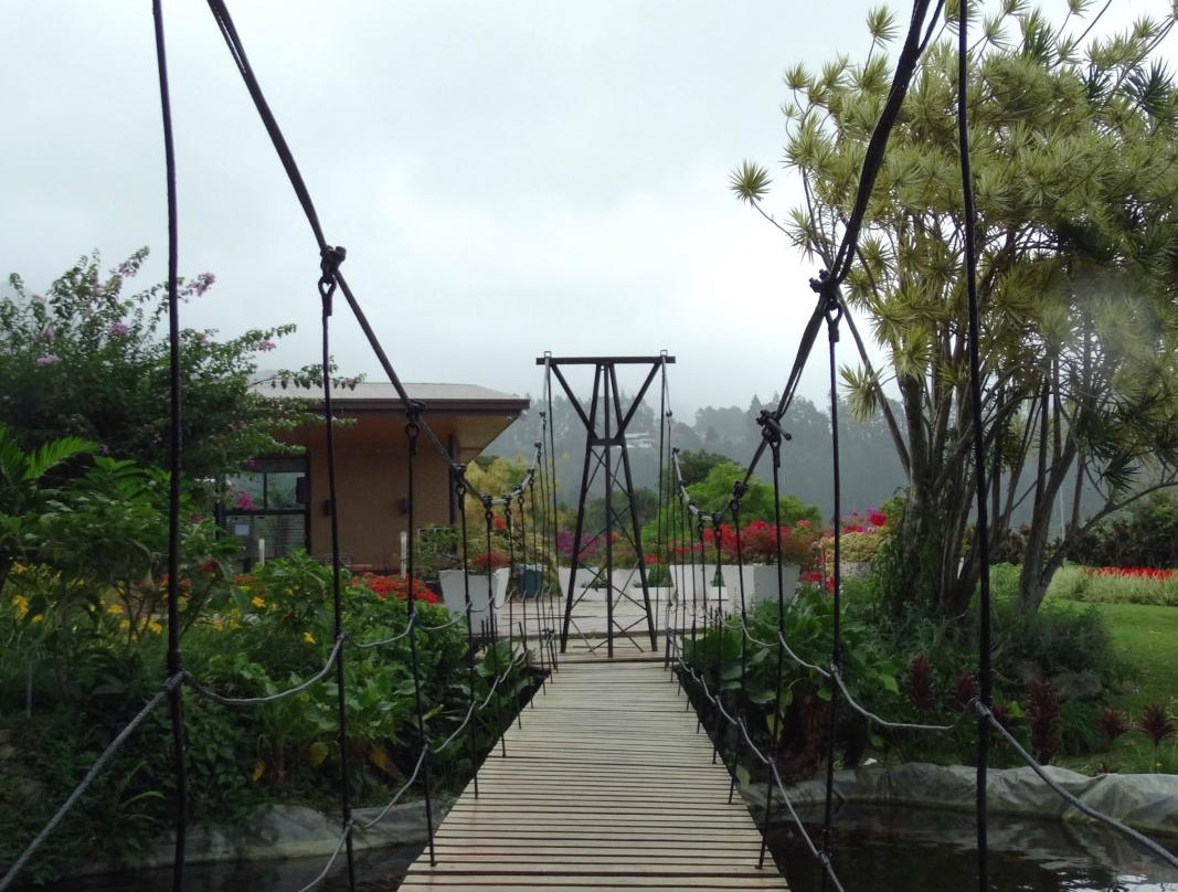 Mi Jardin景点图片