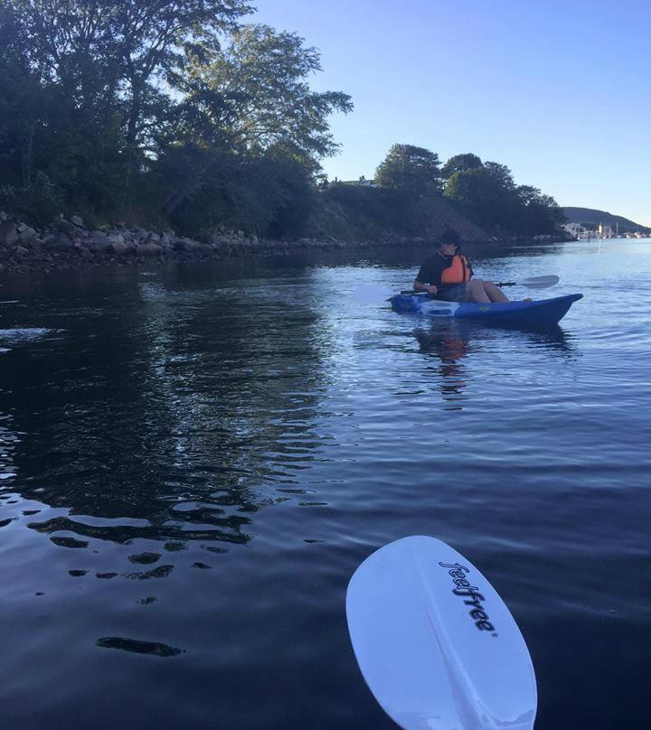 Dockside Kayak Rentals-Digby必去景点