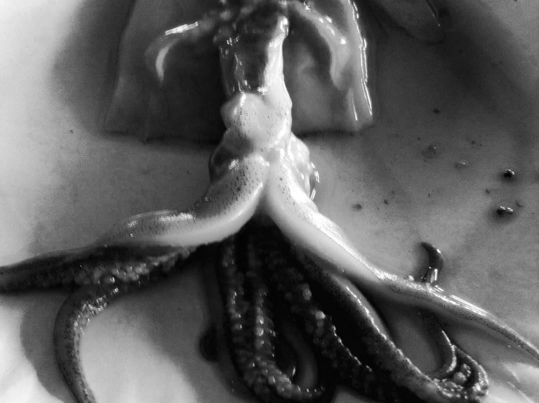 Block Island Maritime Institute-新肖勒姆必去景点