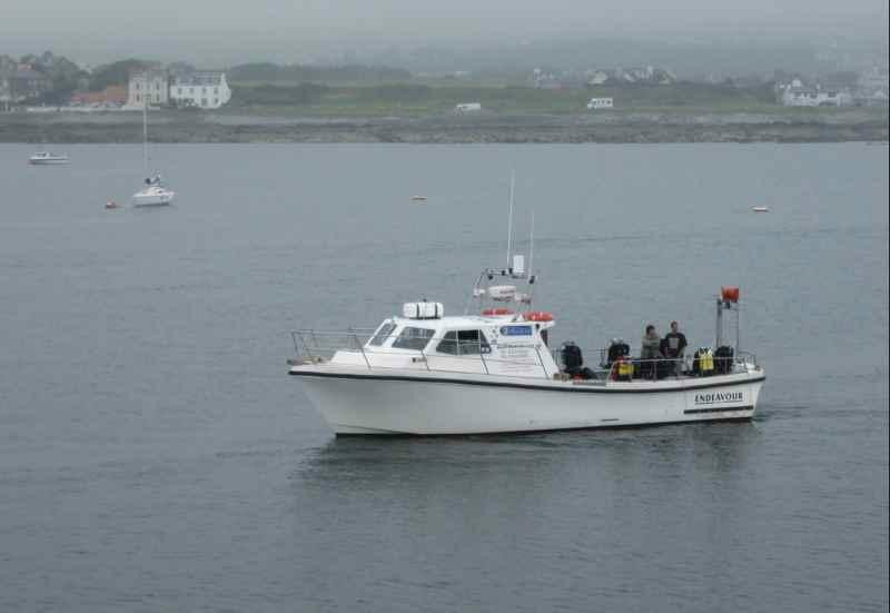 Discover Diving-Port St. Mary必去景点